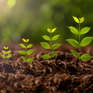 Our Soils Guidebook: History, Experience and Science Our Soils Guidebook: History, Experience and Science